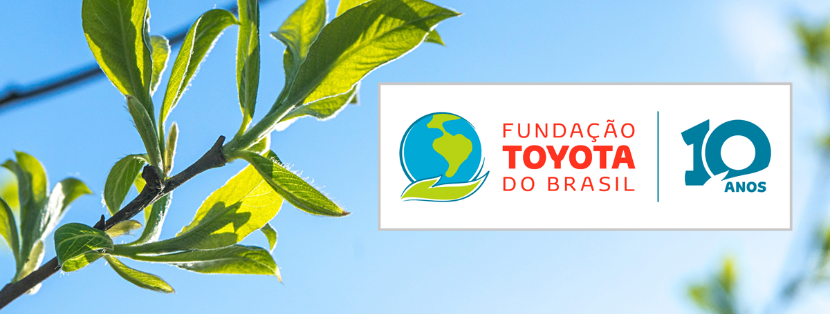 A evolução nas redes sociais de Fundação Toyota do Brasil